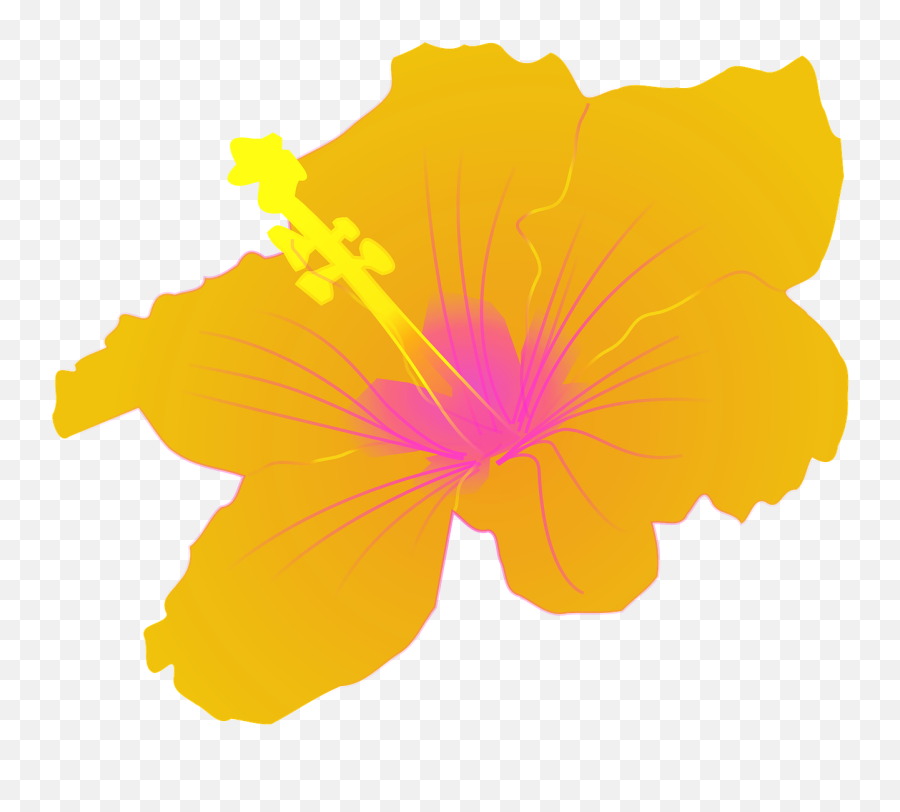 Hibiscus Flower Tropical Floral Petal - Hibiscus Clip Art Emoji,Hawaiian Flower Emoji