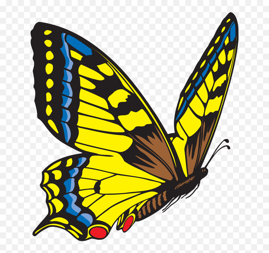 Butterfly Clipart Free Images 3 - Flying Butterfly Clip Art Emoji,Free Butterfly Emoji