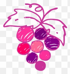 Sketched Grapes Image - Emoji