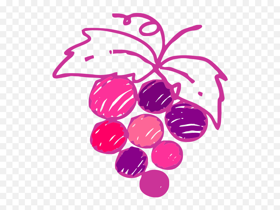 Sketched Grapes Image - Grape Emoji,Avocado Emoji Apple