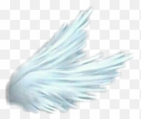 Wings Bluewings Sideways Sidewayswings - Darkness Emoji