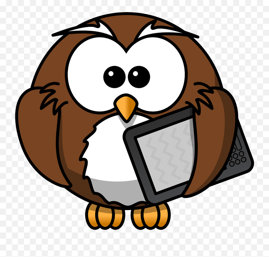 2017 - Cartoon Owl Transparent Background Emoji,Guess The Emoji Penguin Bird Chick Game