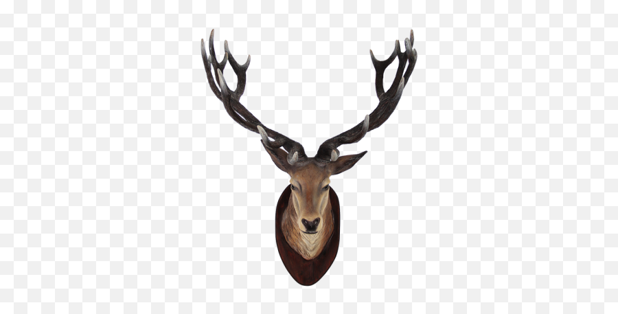 Deer Png And Vectors For Free Download - Deer Head Png Emoji,Whitetail Deer Emoji