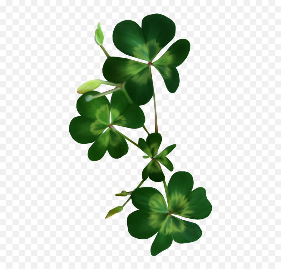 Shamrock Png - Transparent Background Shamrocks Png Emoji,Green Snake Emoji Meaning