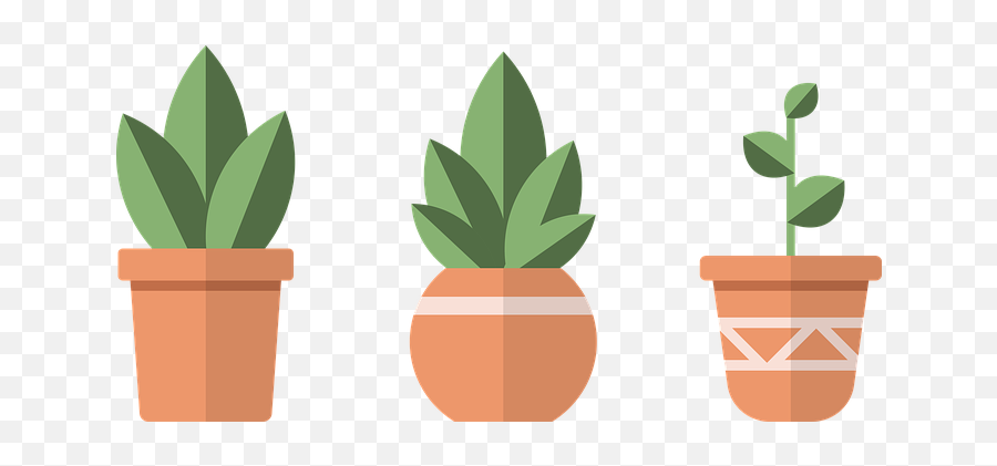 80 Free Succulent U0026 Cactus Illustrations - Pixabay Emoji,Potted Plant Emoji