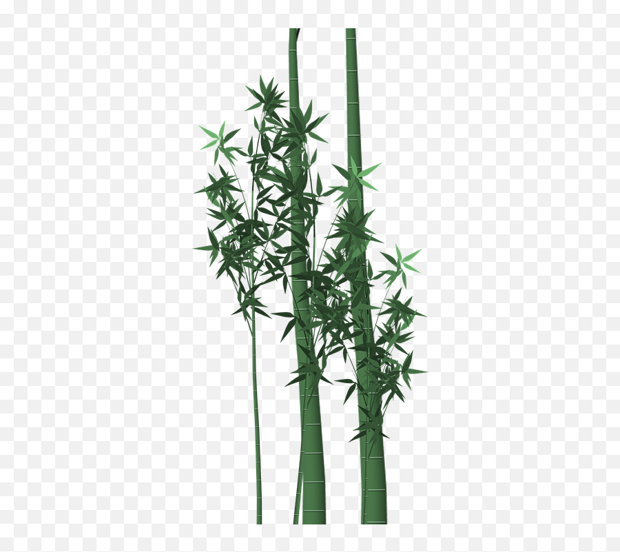 Free Bamboo Panda Illustrations - Bambu Untuk Hiasan Dinding Emoji,Bamboo Emoji