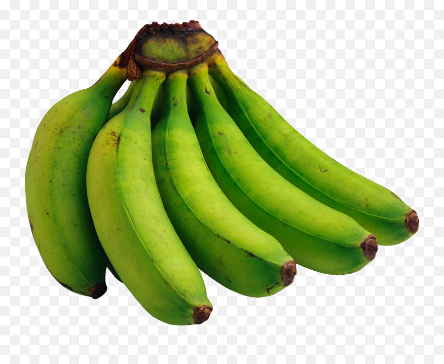 Blue Bananau0027s Green Banana Organic Recipes Banana - Green Banana Png Emoji,Banana Emoji Png