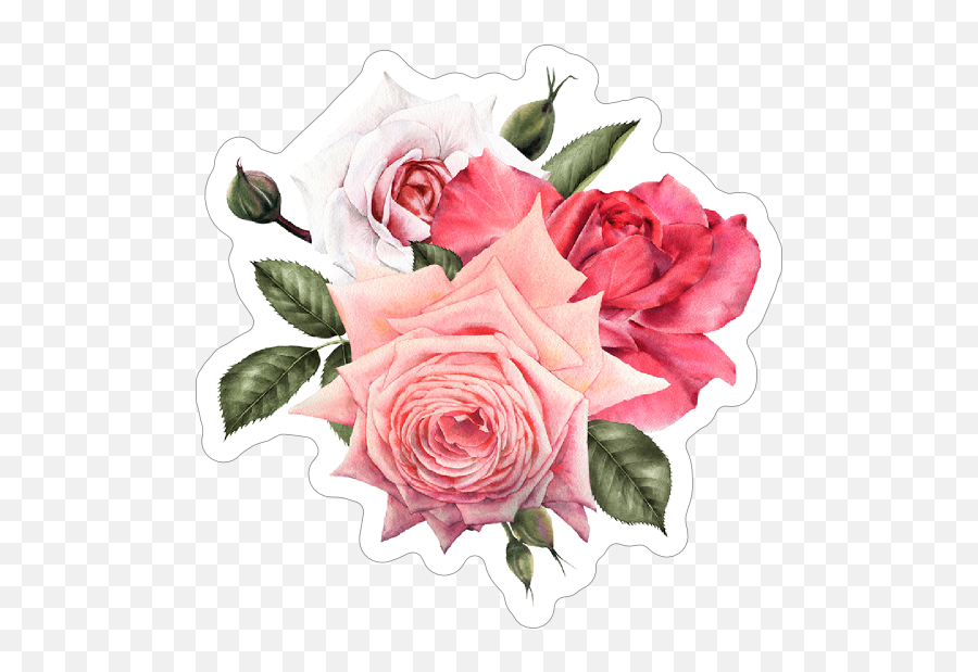 Elegant Roses Flower Sticker - Flower Stickers Emoji,Car Old Lady Flower Emoji