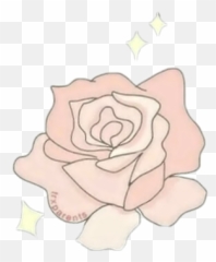 Tumblr Flower Rose Pretty Pink Coral Cute Hipster Paste - Garden Roses Emoji,Flower Emoji Copy And Paste