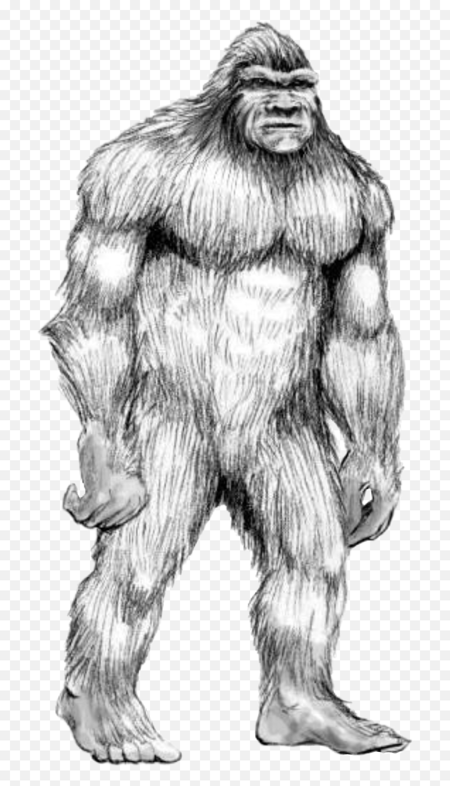 Handdrawn Bigfoot Sasquatch Humananimalhybrid Hybrid - Bigfoot Coloring Pages Emoji,Bigfoot Emoji