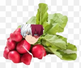 Shouto Wedug Mnie - Radish Emoji,Beet Emoji