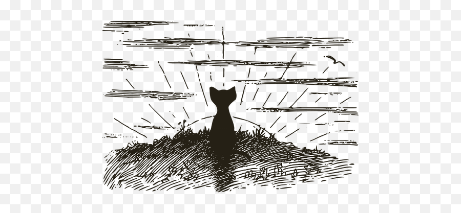Cat Looking At The Sunrise - Sunrise Images Clip Art Black And White Emoji,Emotion Code Chart Download