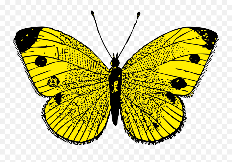 Blue Butterfly Png Svg Clip Art For Web - Download Clip Art Clip Art Yellow Butterfly Emoji,Blue Butterfly Emoji