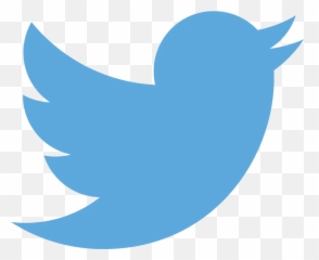 Twitter Celebrates New Year With Special Emoji - Twitter Logo 2017 Png,Cardinal Emoji