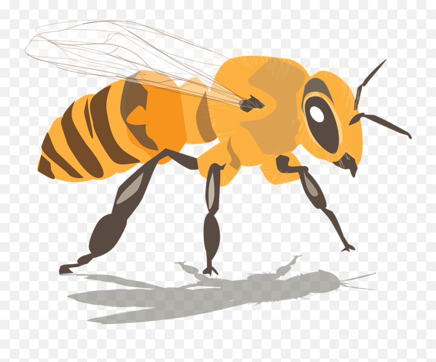 Free Bee Honey Vectors - Abeja Png Emoji,Honey Emoji