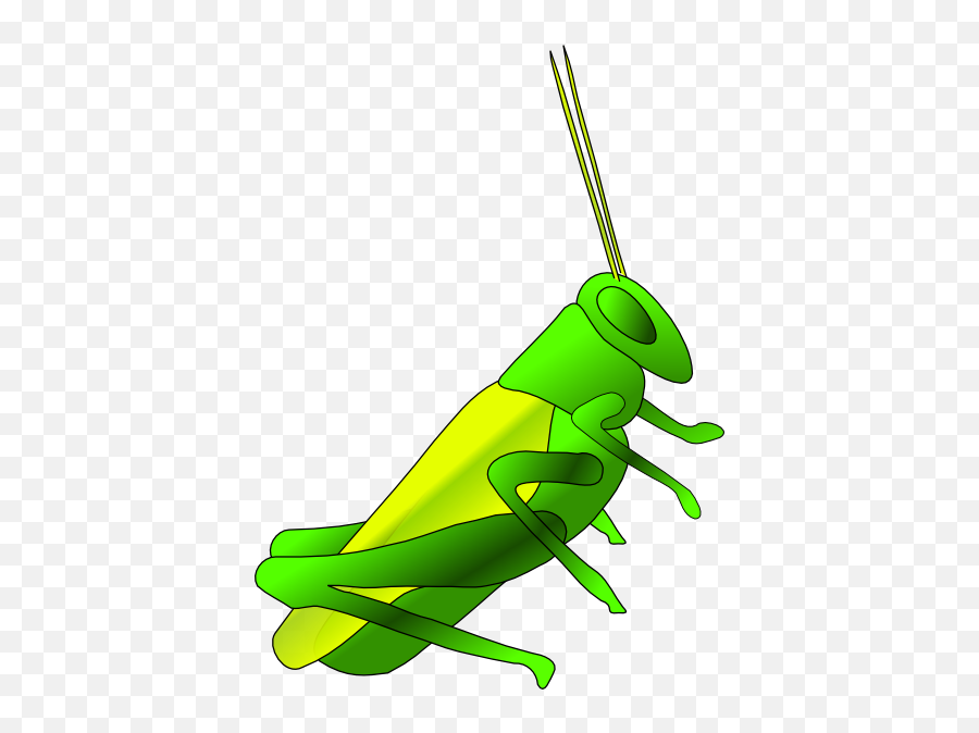 Plymouth Cricket - Grasshopper Clip Art Emoji,Cricket Insect Emoji
