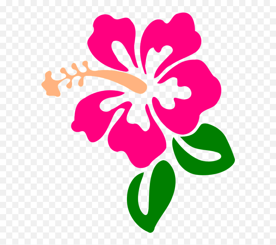 Hibiscus Flower Tropic - Hibiscus Flower Clipart Emoji,Hawaiian Flower Emoji