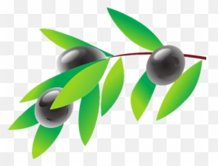 Olivebranch - Olive Cliparts Emoji,Olive Branch Emoji