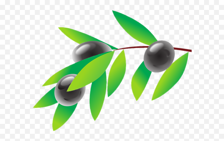 Olivebranch - Olive Cliparts Emoji,Olive Branch Emoji
