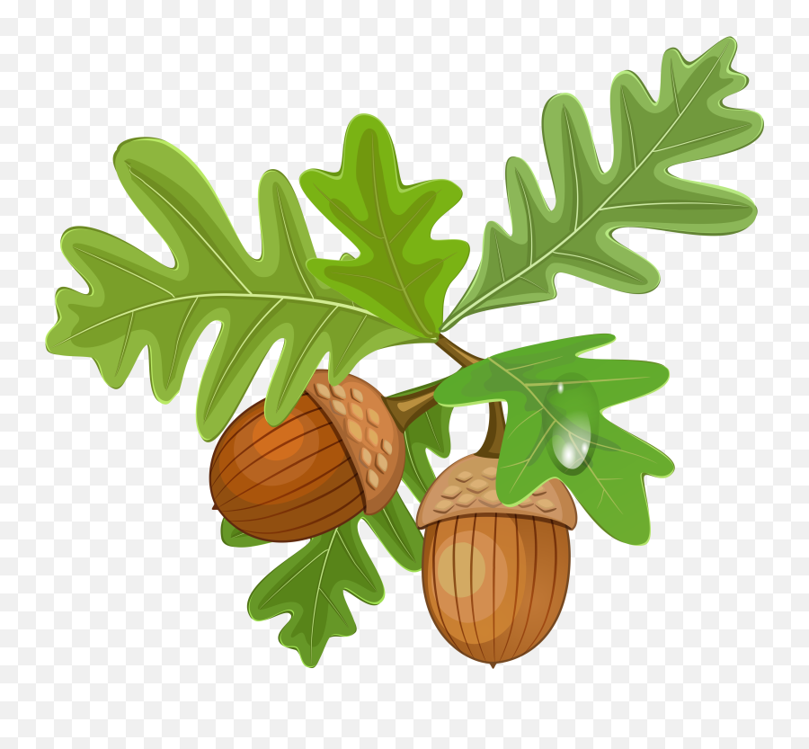 Free Acorn Clipart - Acorn With Leaves Clipart Emoji,Acorn Emoji