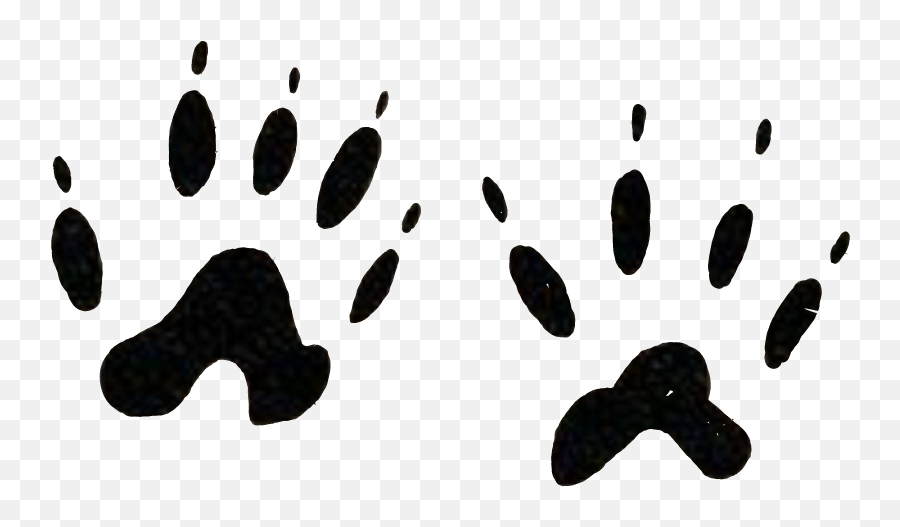 Tatoo Wild Pawns Cat Catlove Claw - Illustration Emoji,Footprints Emoji