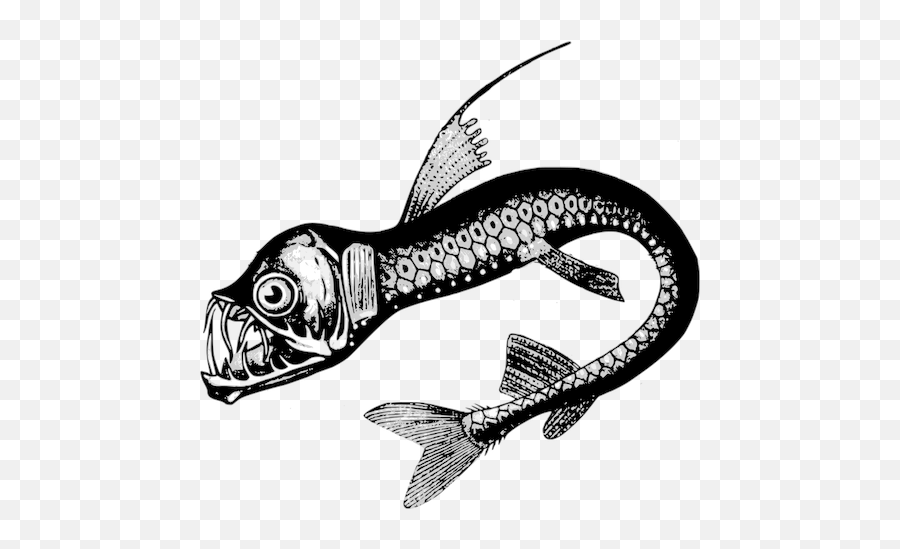 Real Sea Monster - Deep Sea Creature Drawings Emoji,Fish Hook Emoji