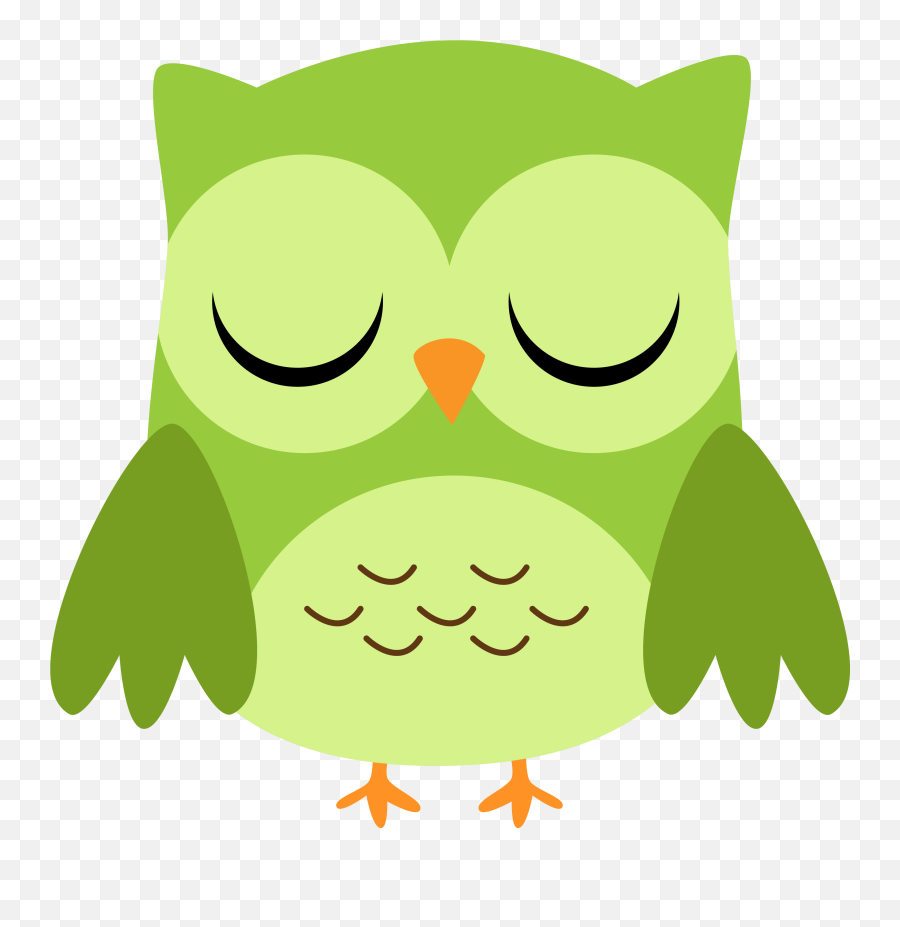 Photo By Daniellemoraesfalcao Minus School - Owl Eyes Green Owl Clipart Emoji,Emoji Owl
