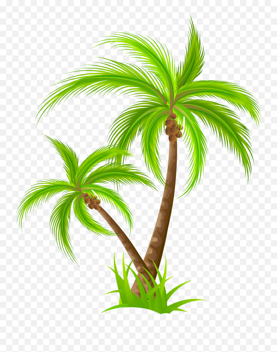 Emoji Clipart Palm Tree Emoji Palm - Palm Tree Clipart Png,Coconut Emoji Iphone