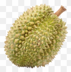 Fruits Durian Yellow - That People Don Like Emoji