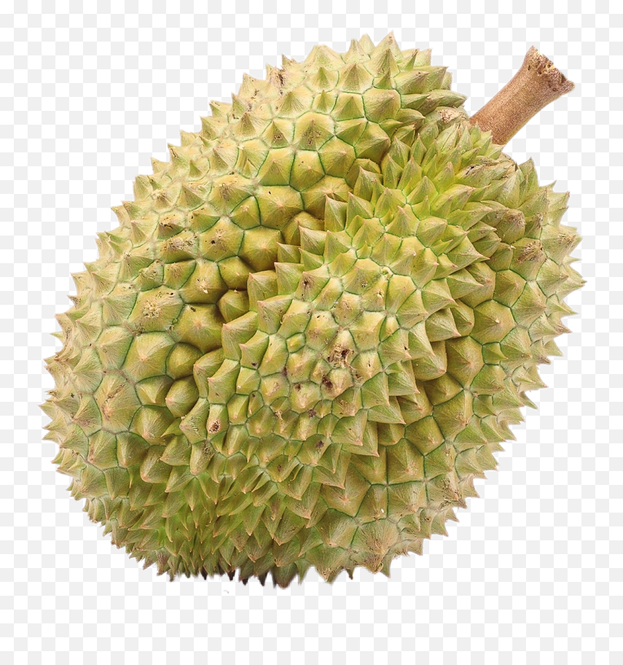 Fruits Durian Yellow - Fruits That People Don T Like Emoji,Durian Emoji