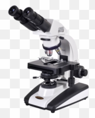 Microscope Png And Vectors For Free Download - Microscope Png Emoji,Microscope Emoji