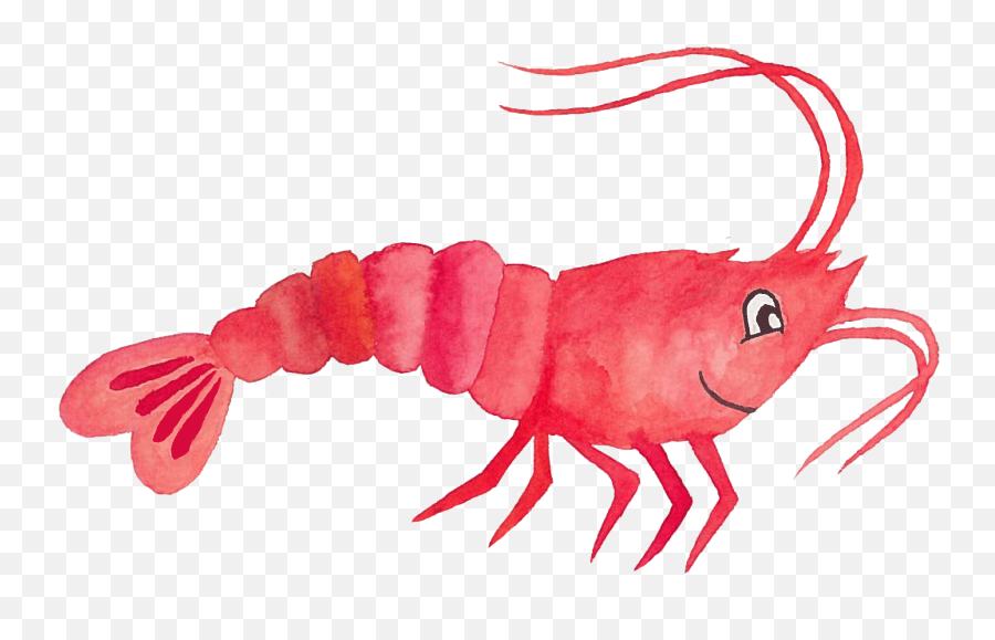 Animation Clipart Shrimp - Clip Art Emoji,Shrimp Emoji