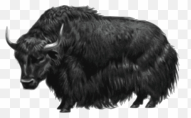 Yak Clipart Png - Yak Png Hd Emoji,Yak Emoji