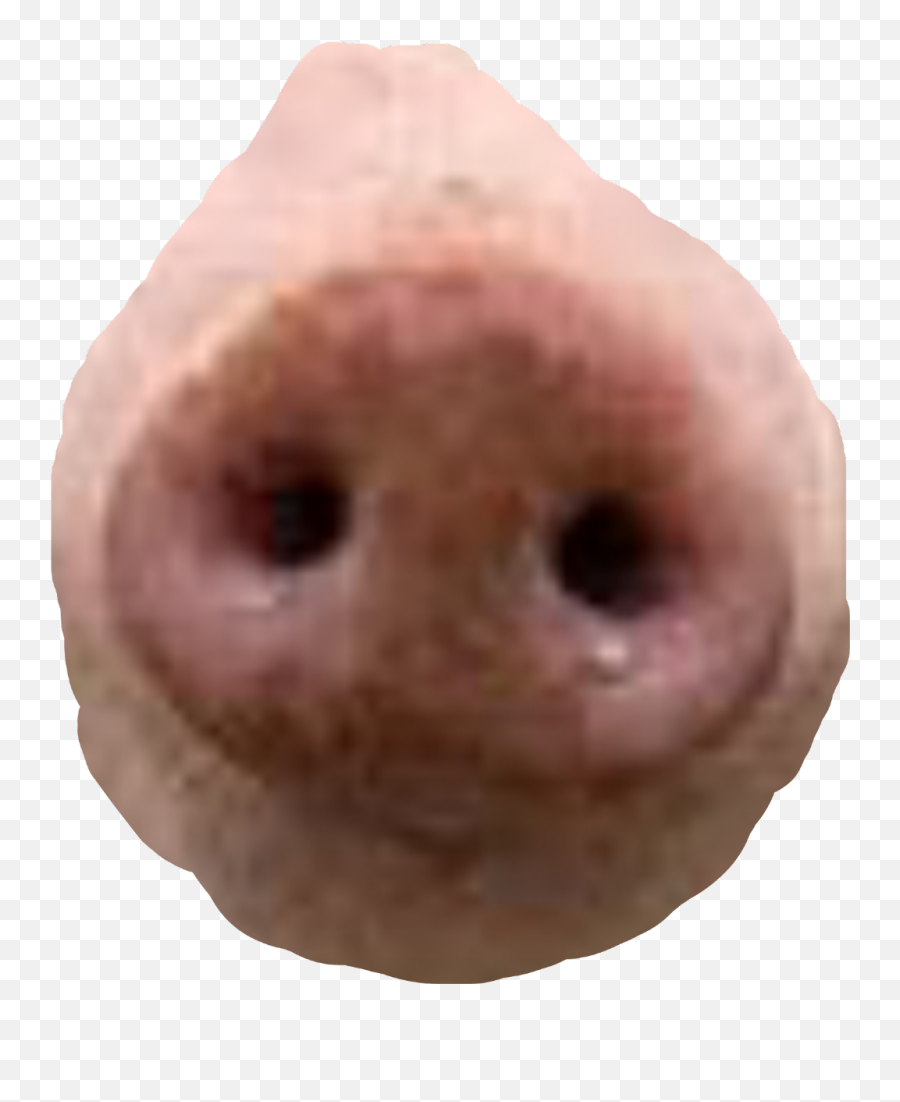 Pig Nose Robullo - Fish Transparent Cartoon Jingfm Pig Nose Png Emoji,Pig Nose Emoji