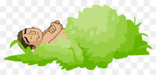 40 Free Asleep U0026 Sleep Illustrations - Pixabay Bush Drawing Png Emoji,Turtle Emoji Pillow