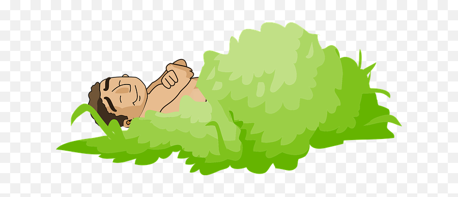 40 Free Asleep U0026 Sleep Illustrations - Pixabay Bush Drawing Png Emoji,Turtle Emoji Pillow