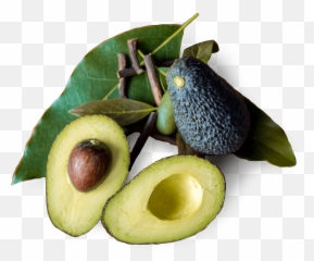 Free Transparent Avocado Download Free - Avocado Emoji,Avocado Emoji Iphone