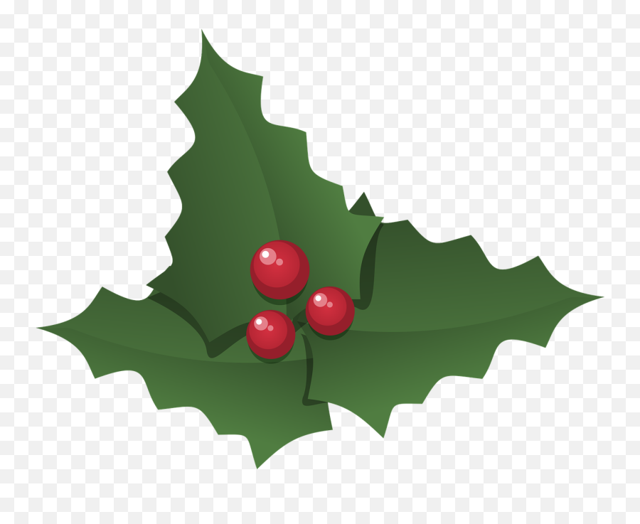 Christmas Holly Holly Leaves Holiday - Azevinho Natal Png Emoji,Christmas Emoticons Copy And Paste