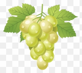 Grapes Grape Image Free Picture - Green Grapes Clipart Png Emoji,Grape Emoji