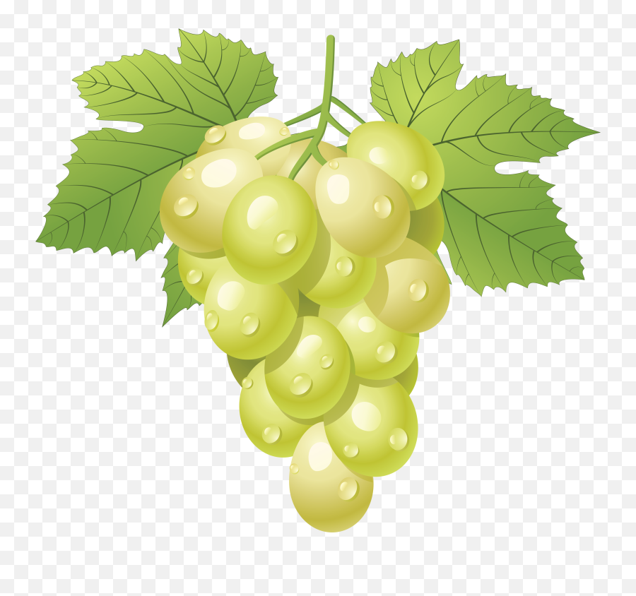 Grapes Grape Image Free Picture - Green Grapes Clipart Png Emoji,Grape Emoji