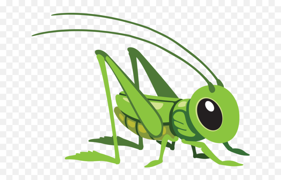 Insect Clipart Insect Grasshopper - Cartoon Grasshopper Emoji,Grasshopper Emoji