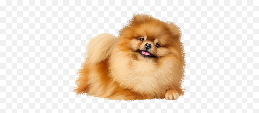 Collection Png And Vectors For Free Download - Dlpngcom Pomeranian Png Emoji,Pomeranian Emoji