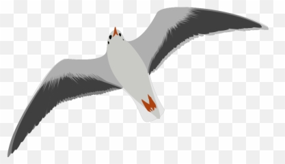 Sea Gull Seagull Png Svg Clip Art For - Seagull Clip Art Emoji,Seagull Emoji