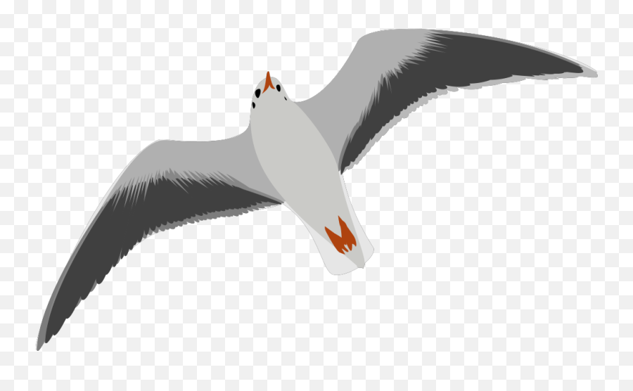 Sea Gull Seagull Png Svg Clip Art For - Seagull Clip Art Emoji,Seagull Emoji