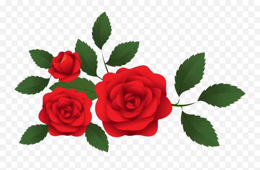 Red Roses Banner Transparent Background - Red Roses Clipart Png Emoji,Red Rose Emoji