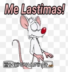 Pinky Y Cerebro Stickers For Whatsapp - Sticker Pinky Y Cerebro Emoji,Pinky Emoji