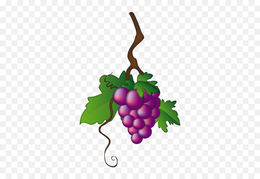Emoji - Illustration,Grape Emoji