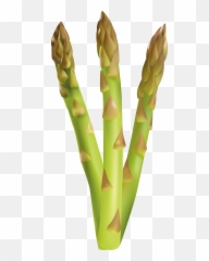 Library Asapagass Png Files - Asparagus Clipart Transparent Background Emoji,Asparagus Emoji