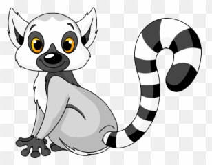 Lemur Png - Ring Tailed Drawing Emoji