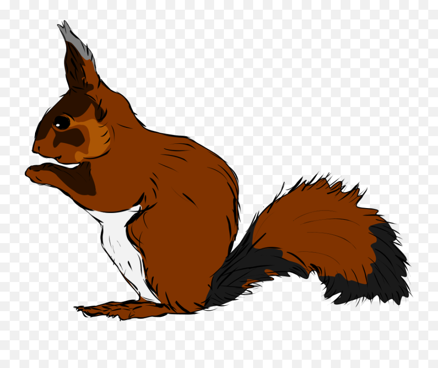 Squirrel Clip Art Woodland Animals Flashcards - Green Squirrel Clipart Emoji,Squirrel Emoji